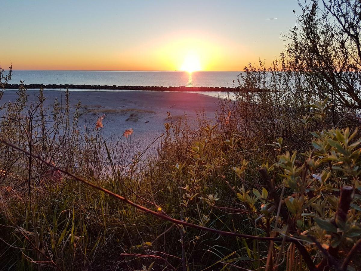 Hotel Zum Strandlaufer Ahrenshoop Kültér fotó